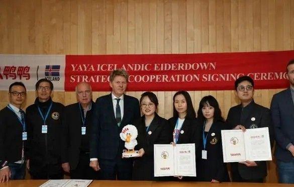 不吹不黑国产“四大天王”羽绒服品牌确实比优衣库更值得买(图5)