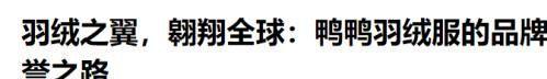 不吹不黑国产“四大天王”羽绒服品牌确实比优衣库更值得买(图7)