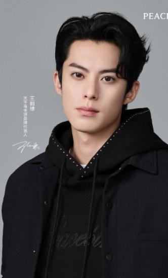 不吹不黑国产“四大天王”羽绒服品牌确实比优衣库更值得买(图20)